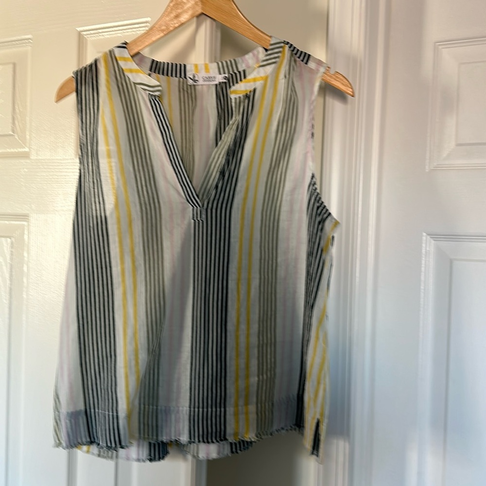 Beatiful sleeveless Carve top, size Medium